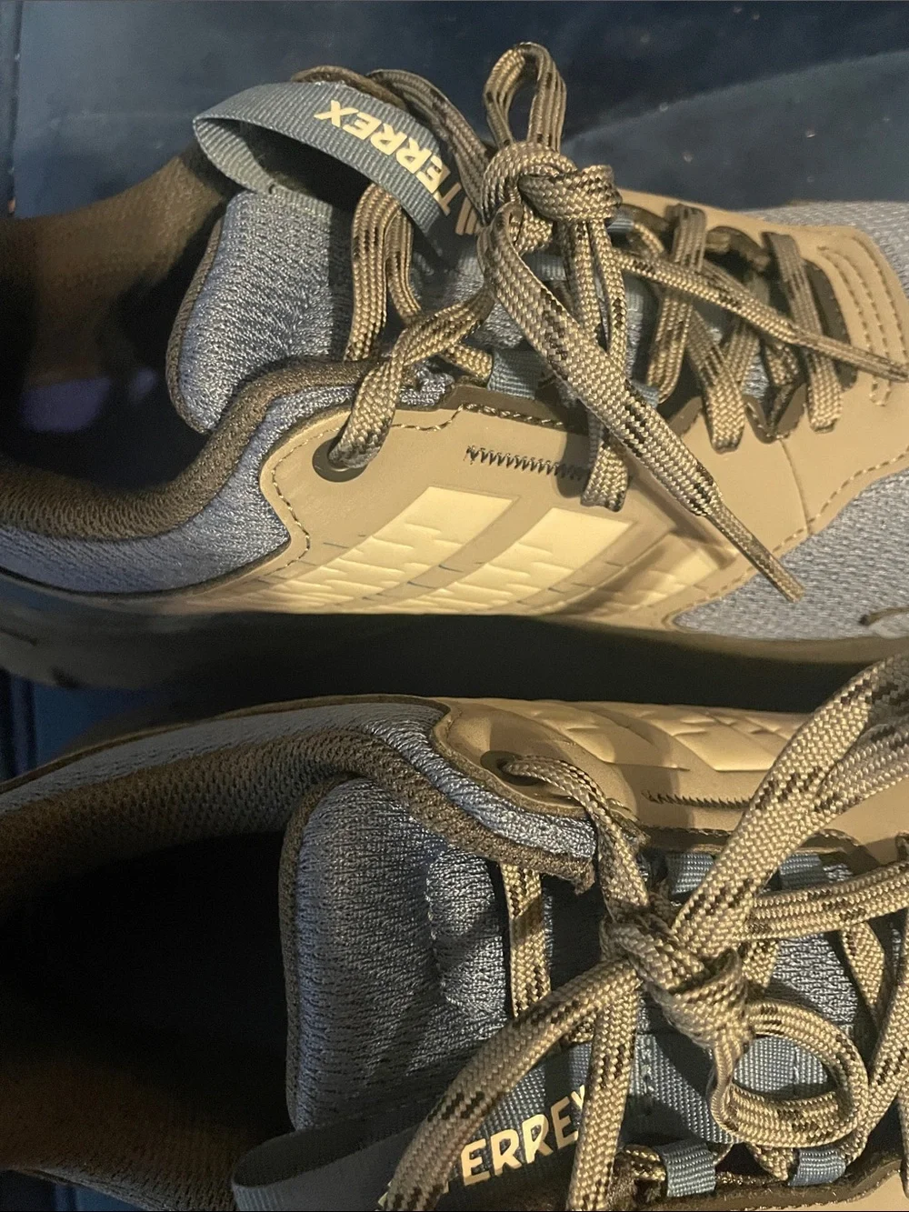adidas Terrex Men's Blue and Brown Trail Sneakers
